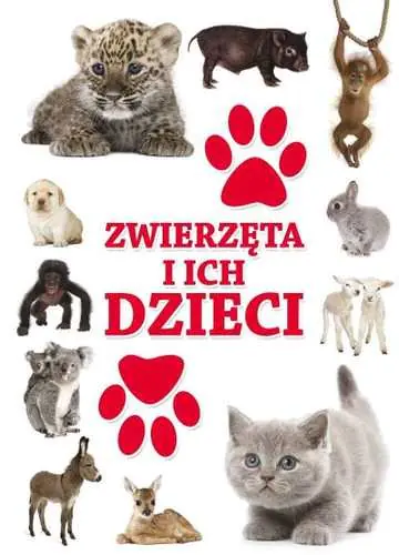 Książka - Dla dzieci - Zwierzęta i ich dzieci Damidos