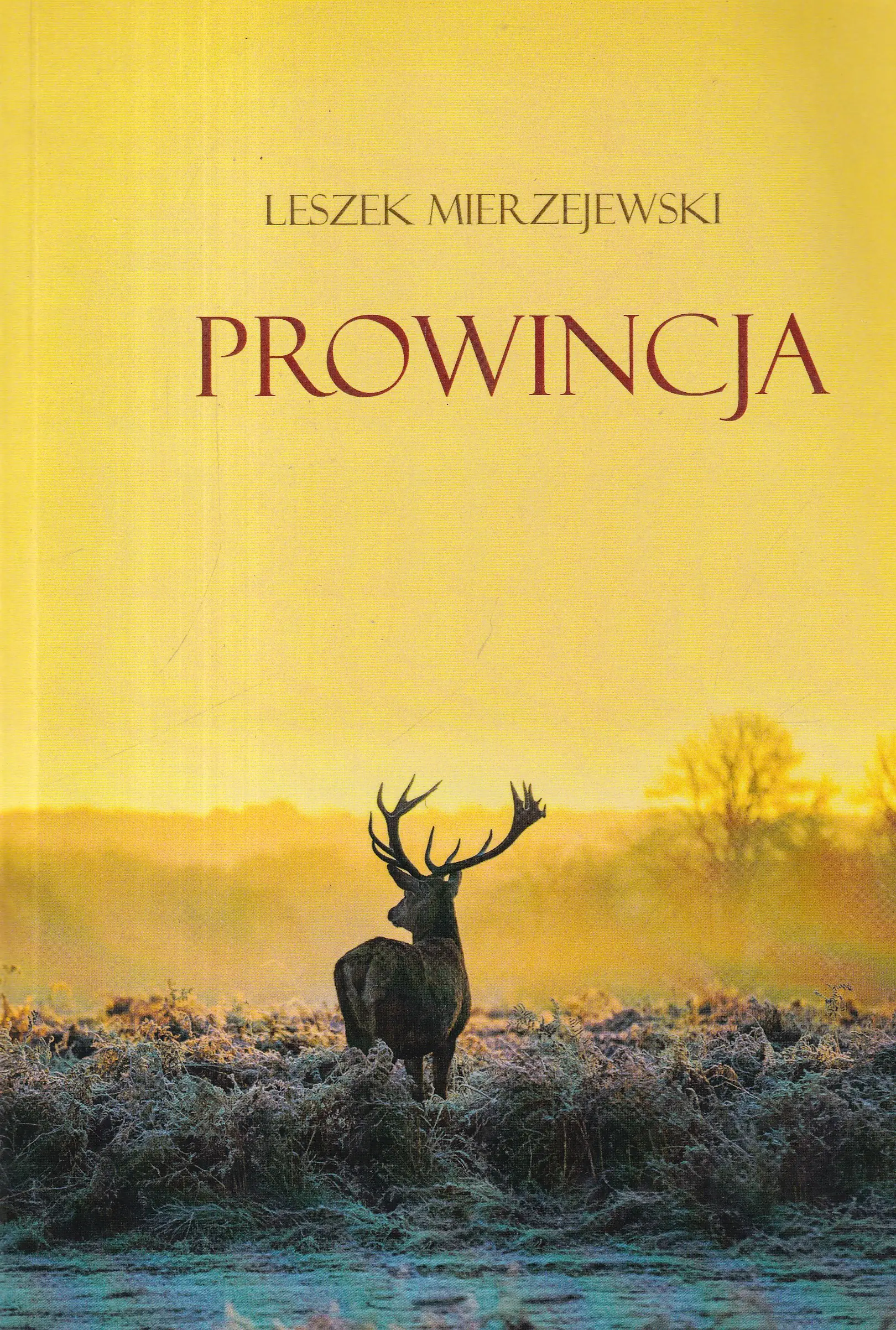Książka - Prowincja