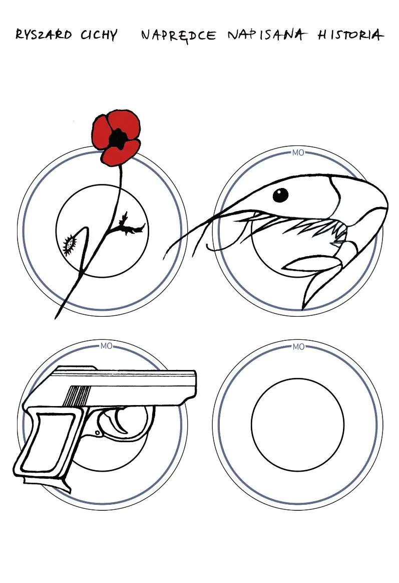 Książka - Naprędce napisana historia