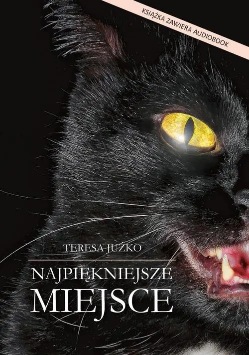 Książka - Najpiękniejsze miejsce + CD