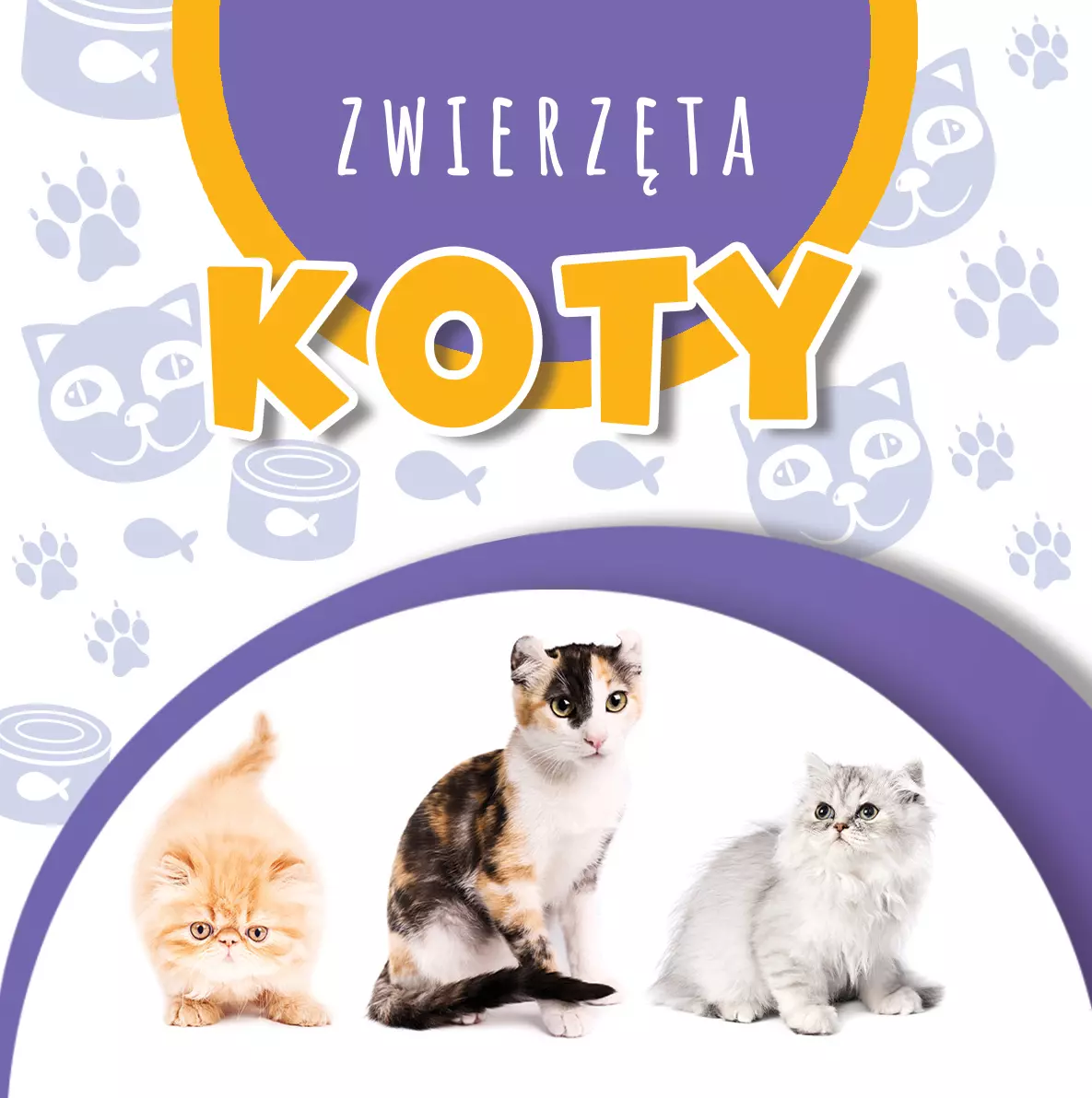 Książka - Wstęgi kartonowe. Koty