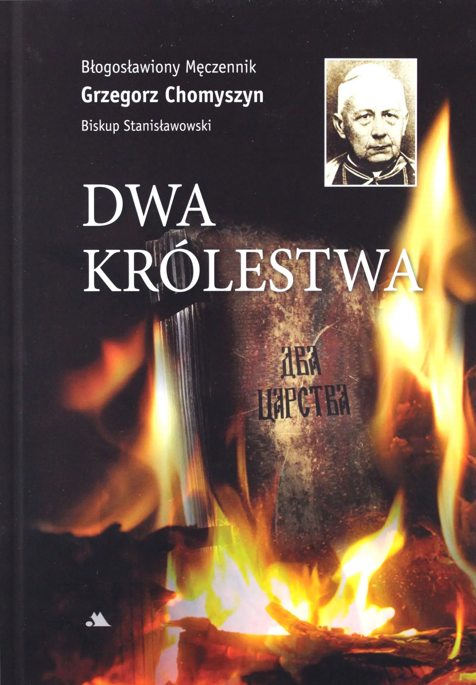 Książka - Dwa królestwa