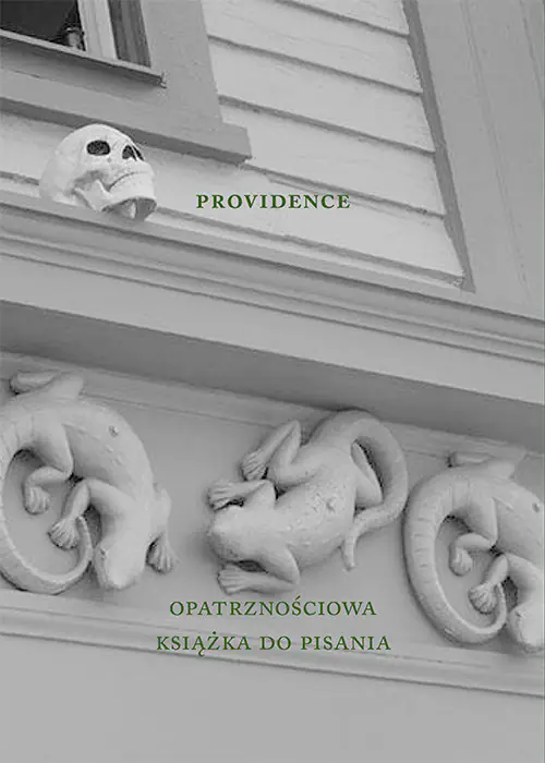 Książka - Providence. Opatrznościowa książka do pisania
