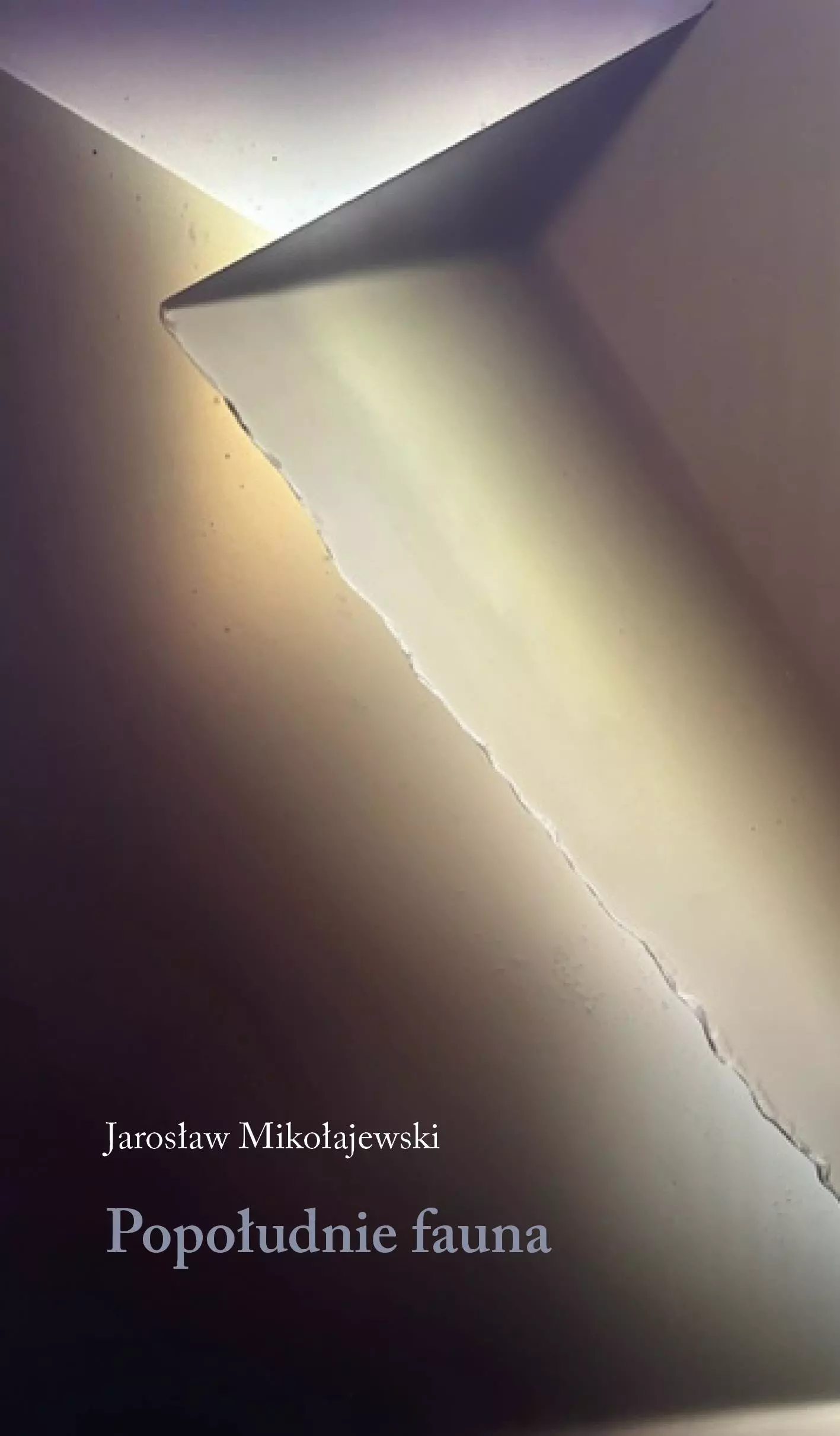 Książka - Popołudnie fauna