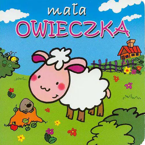 Książka - Mała owieczka