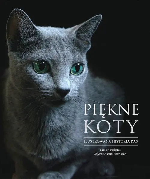 Książka - Piękne koty