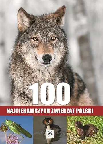Książka - 100 najciekawszych zwierząt Polski