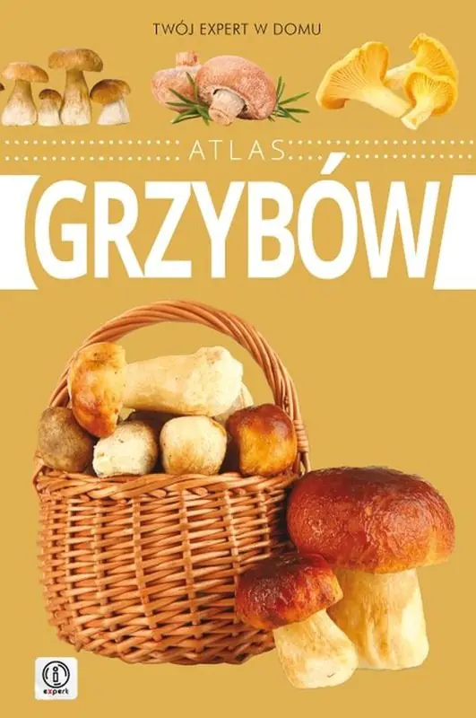 Książka - Atlas grzybów