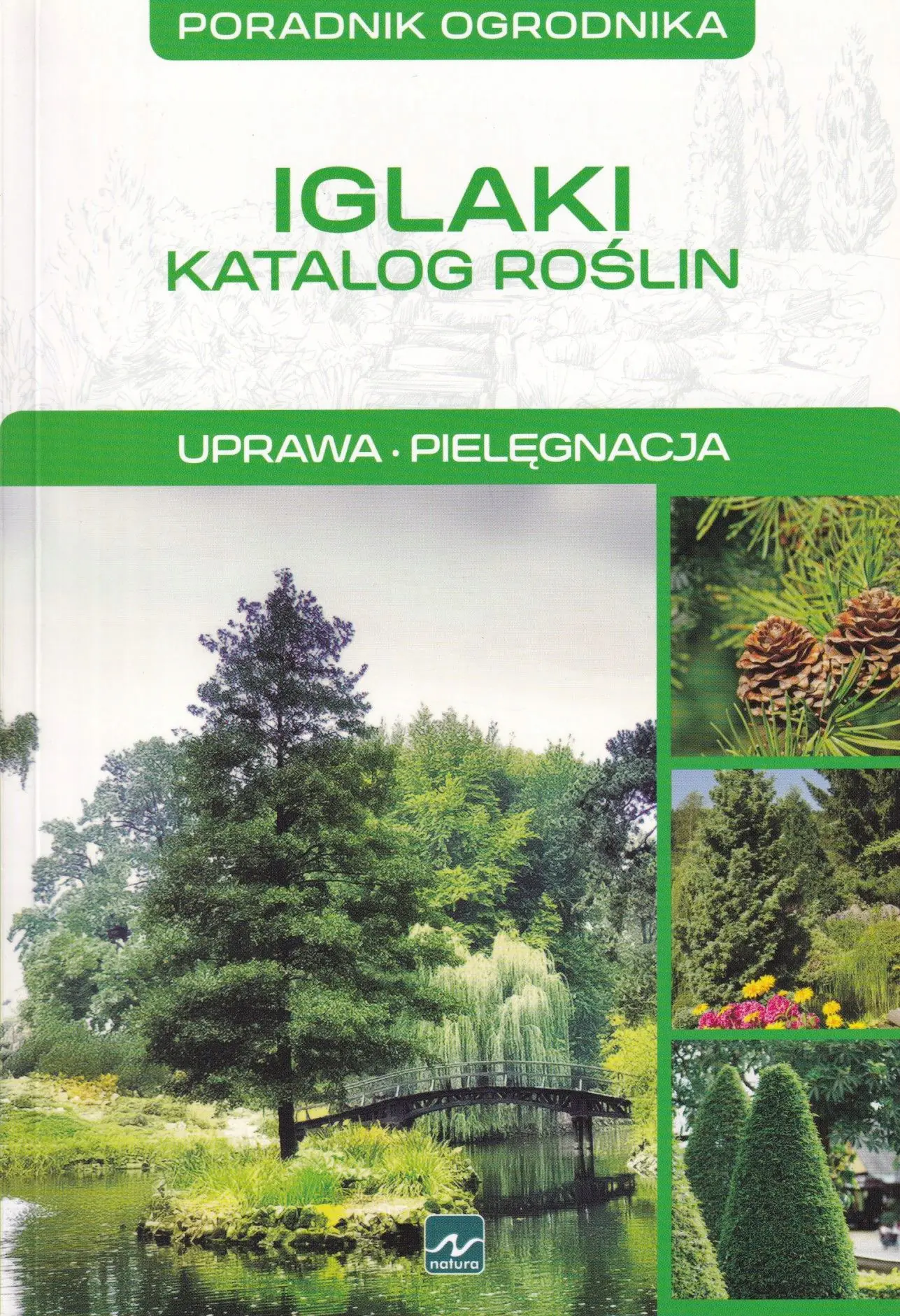 Książka - Poradnik ogrodnika. Iglaki. Katalog roślin. Uprawa, pielęgnacja