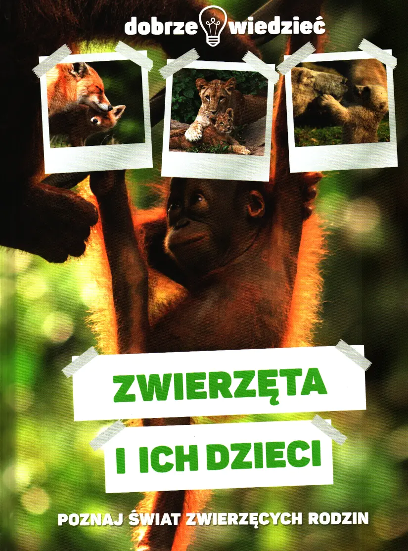 Książka - Zwierzęta i ich dzieci Dobrze wiedzieć