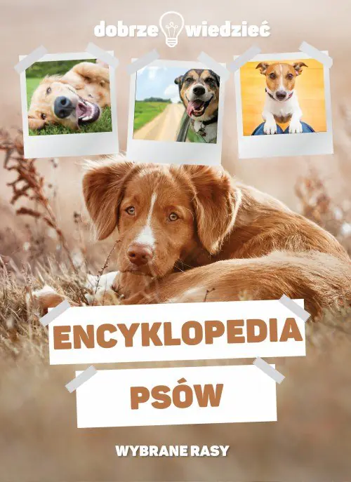 Książka - Dobrze wiedzieć. Encyklopedia psów