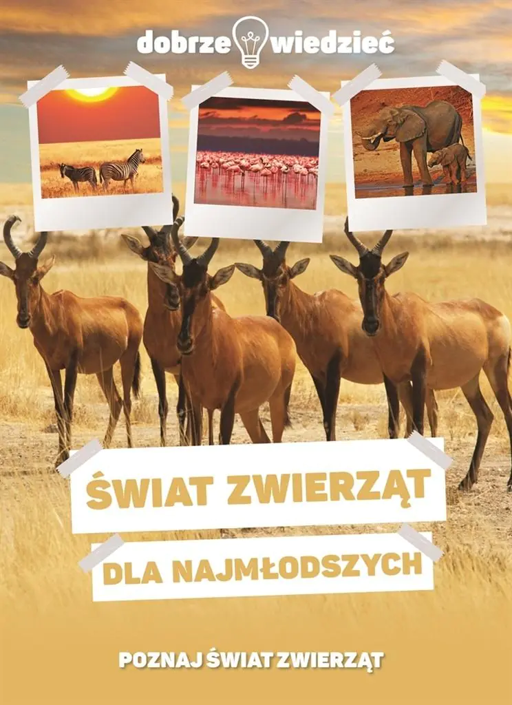 Książka - Dobrze wiedzieć. Świat zwierząt dla najmłodszych
