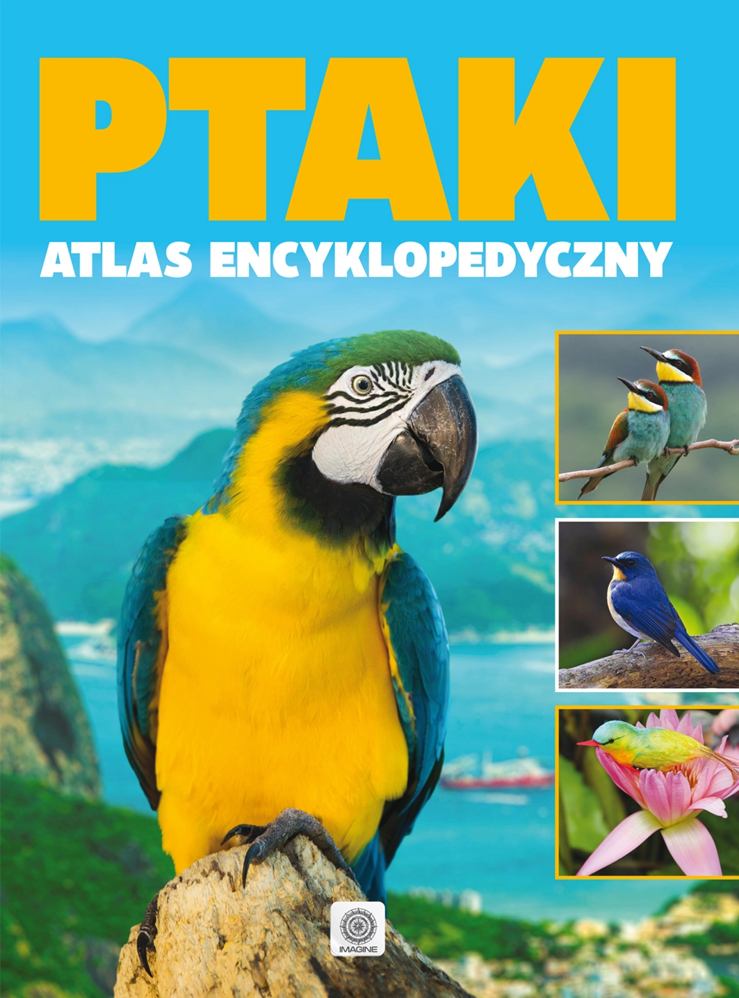 Książka - Ptaki - atlas encyklopedyczy