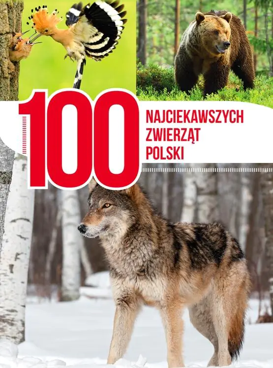 Książka - 100 najciekawszych zwierząt Polski