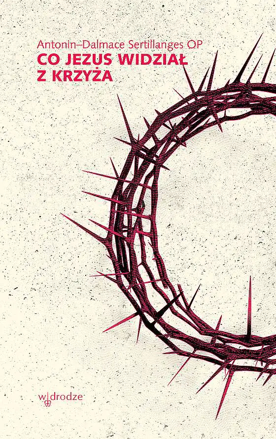 Książka - Co Jezus widział z krzyża