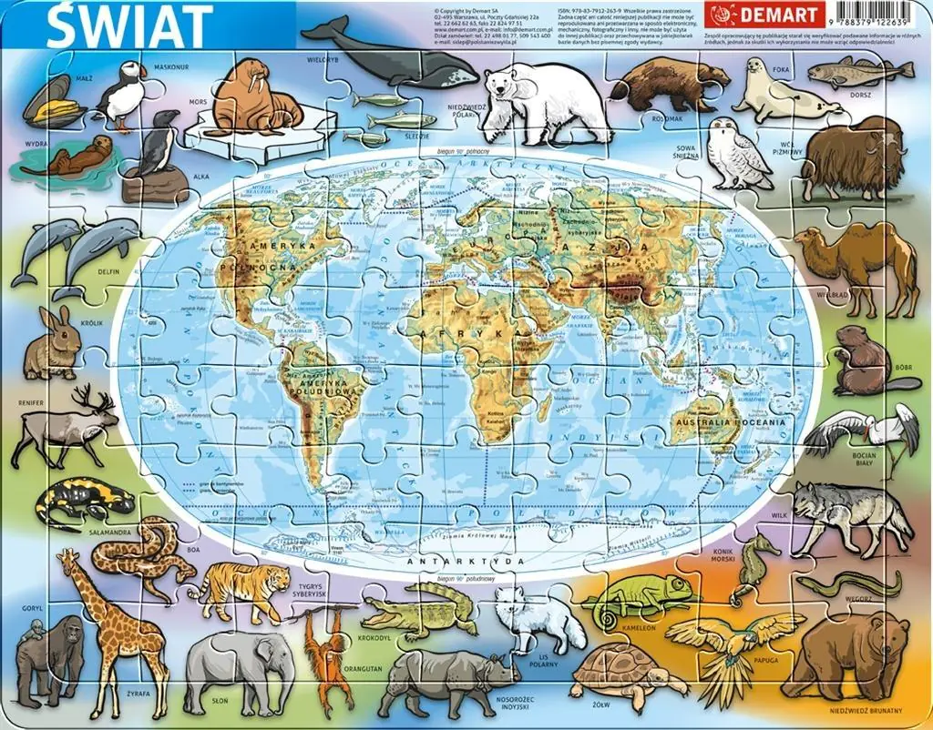 Książka - Demart, puzzle, Świat mapa fizyczna, 72 el.