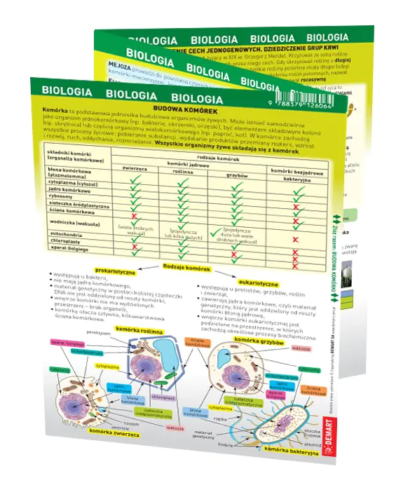 Książka - Biologia - maxi ściąga
