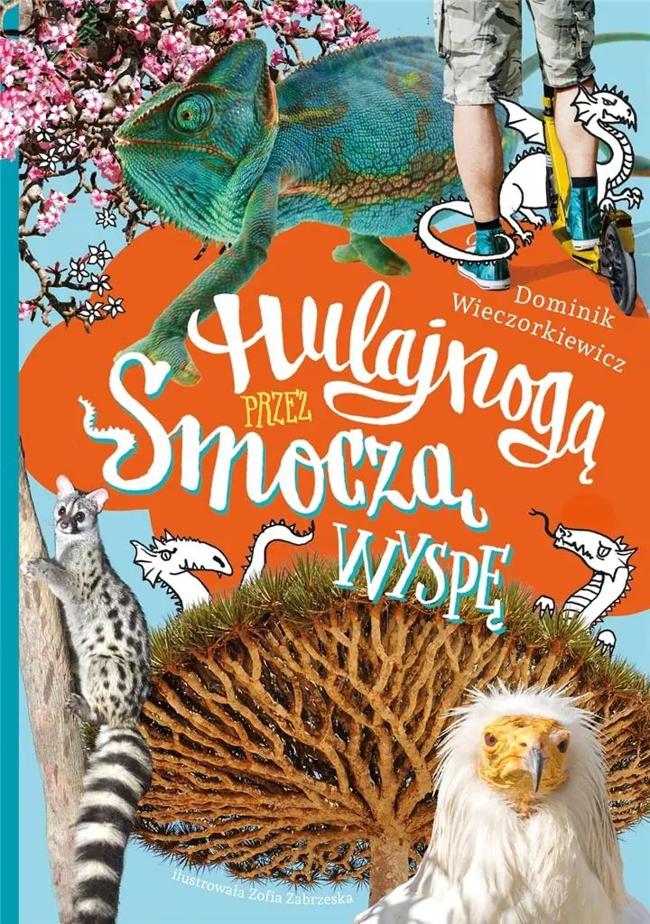 Książka - Hulajnogą przez smoczą wyspę