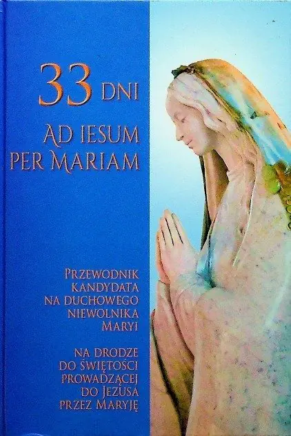 Książka - 33 dni