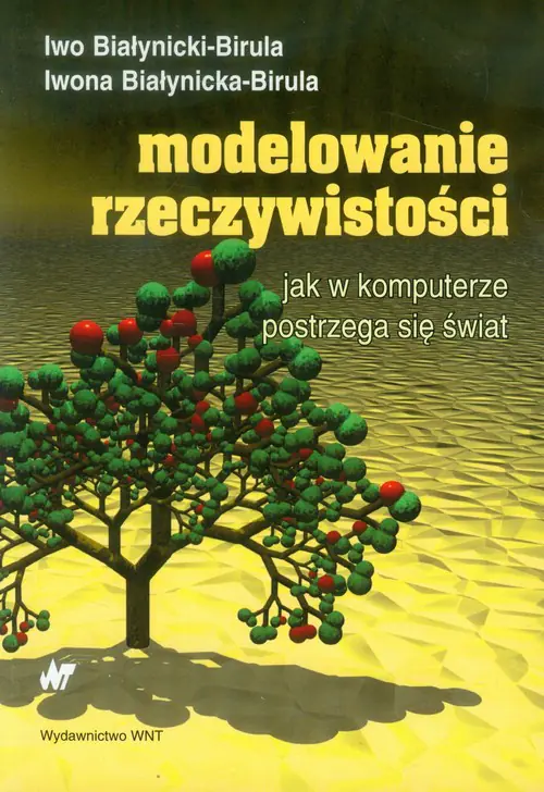 Książka - Modelowanie rzeczywistości. Jak w komputerze postrzega się świat