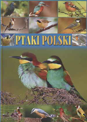 Książka - Ptaki polski