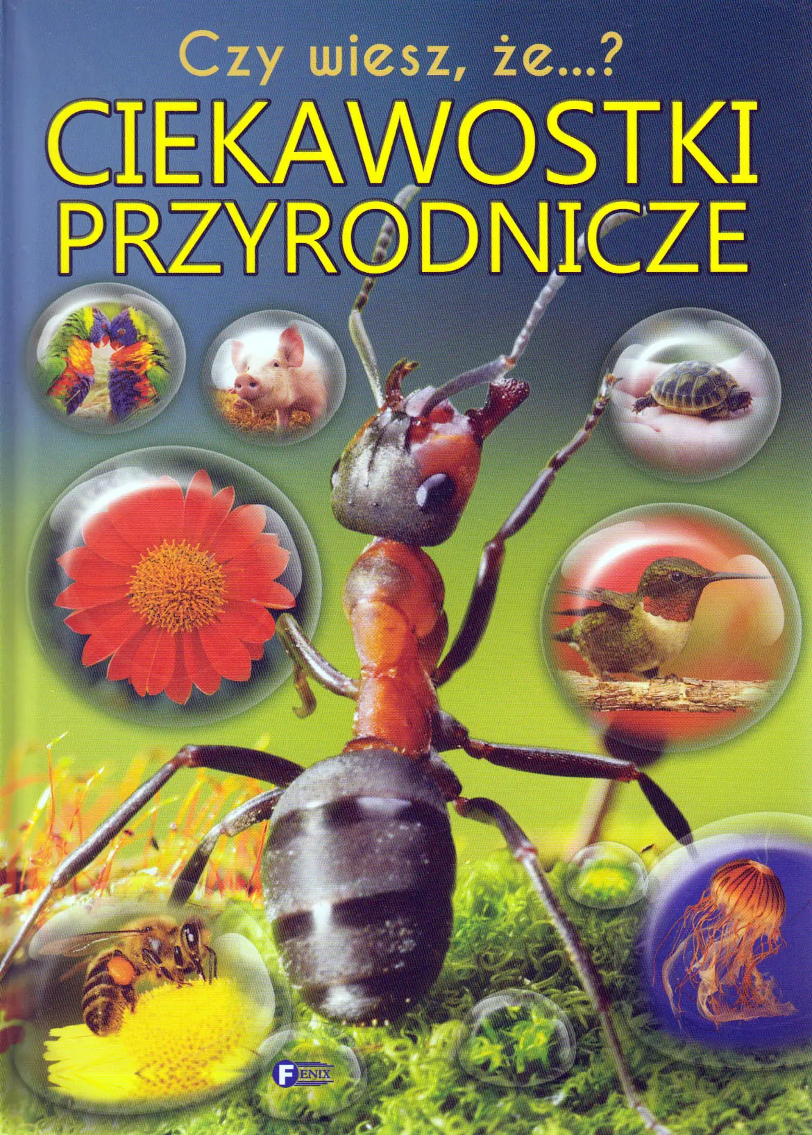 Książka - Ciekawostki przyrodnicze