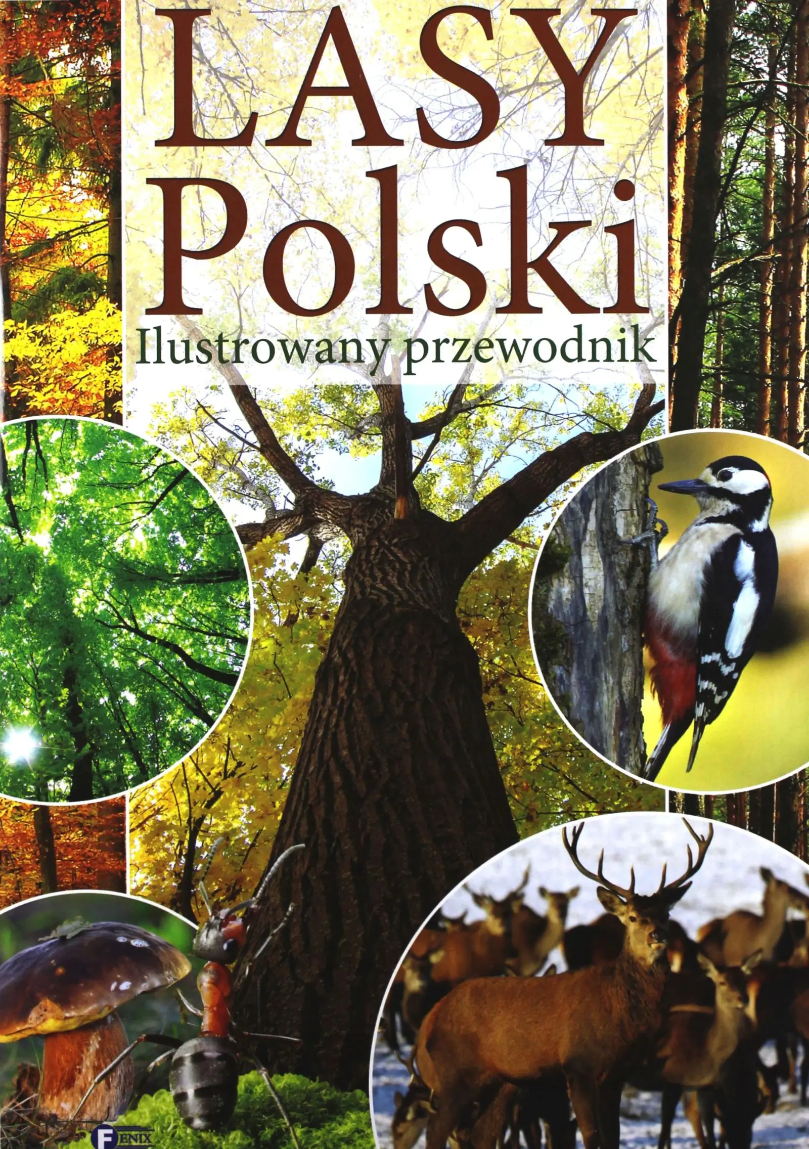Książka - Lasy Polski