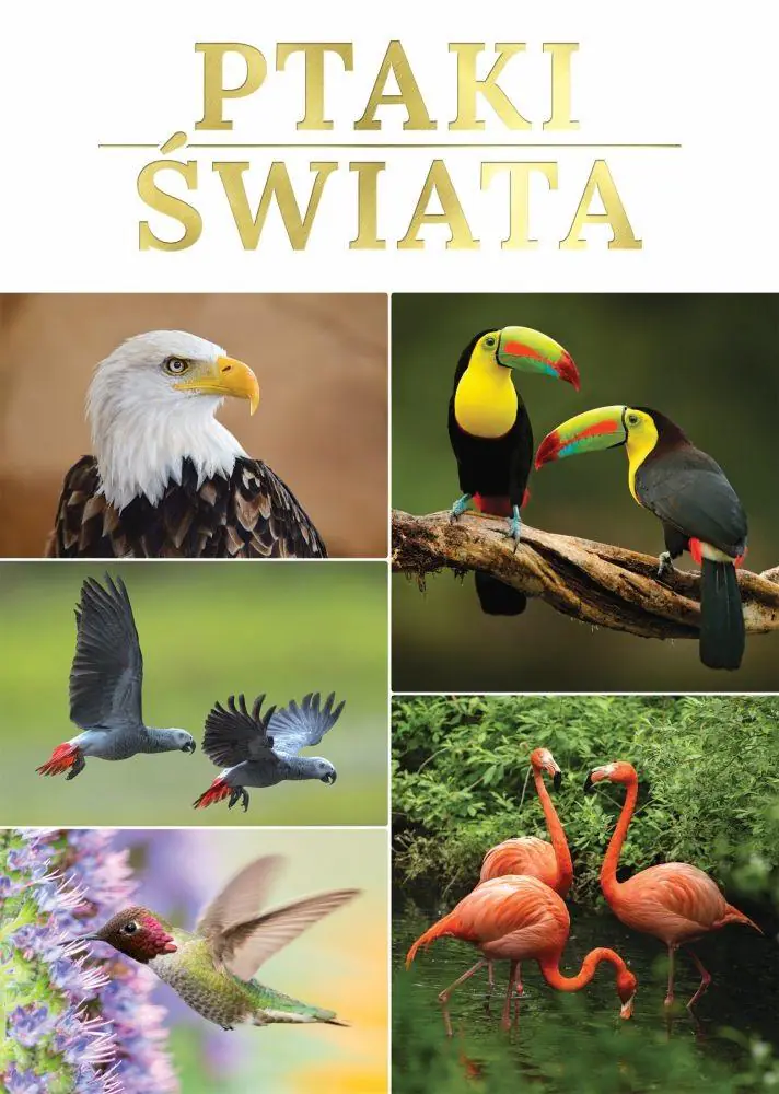 Książka - Ptaki świata