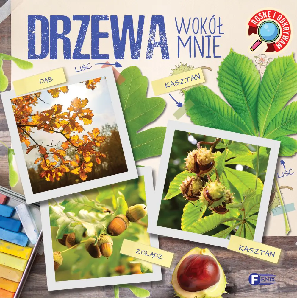 Książka - Drzewa wokół mnie. Rosnę i odkrywam