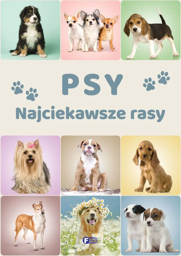 Książka - Psy. Najciekawsze rasy