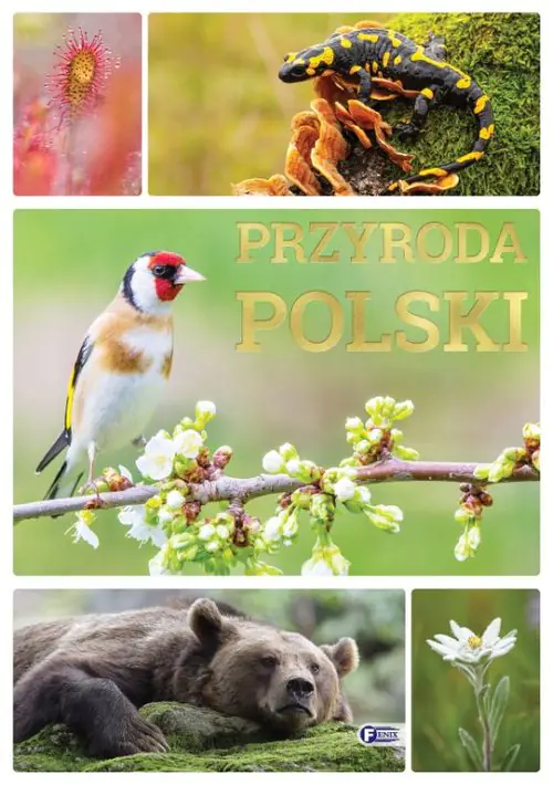 Książka - Przyroda Polski