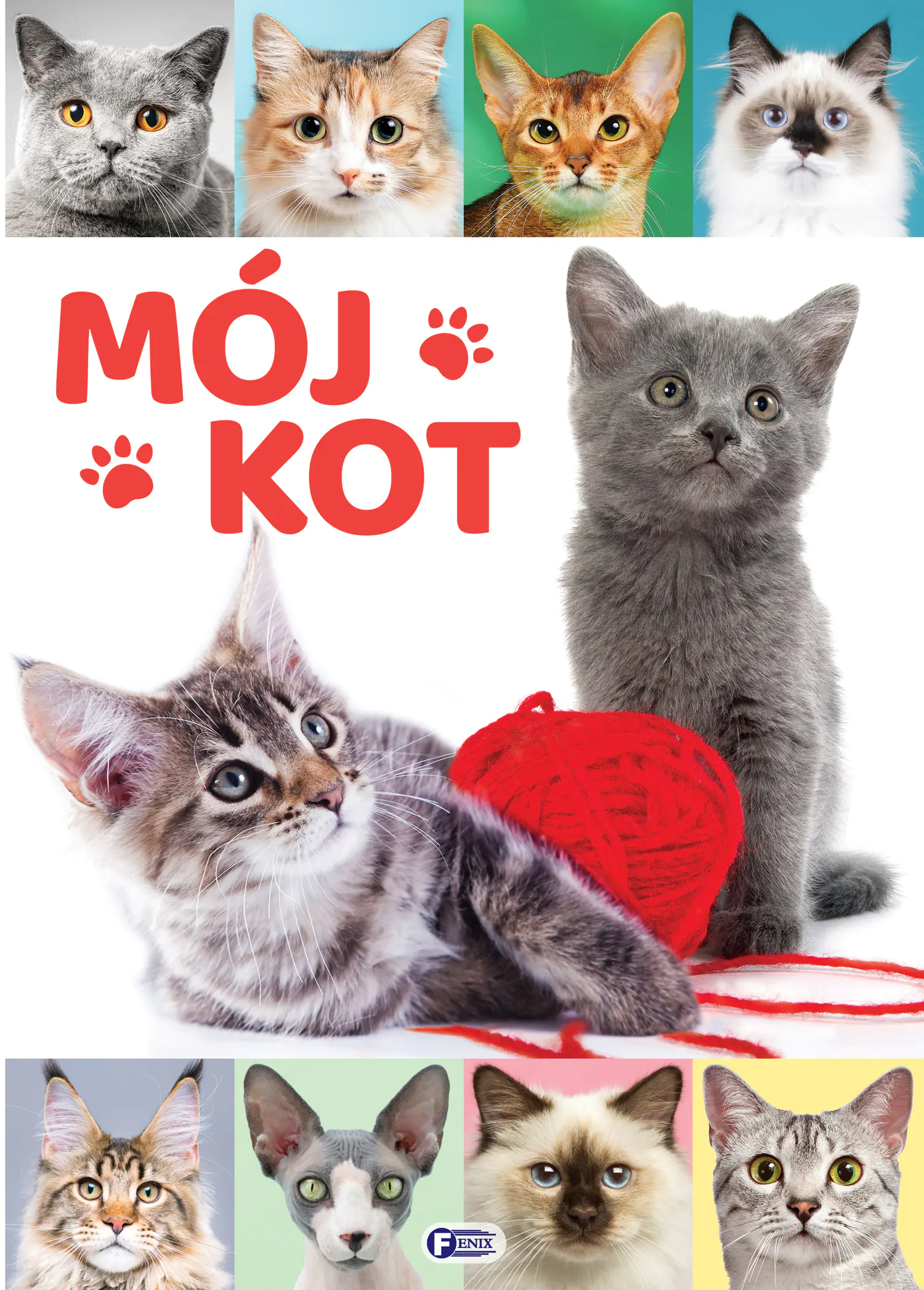 Książka - Mój kot