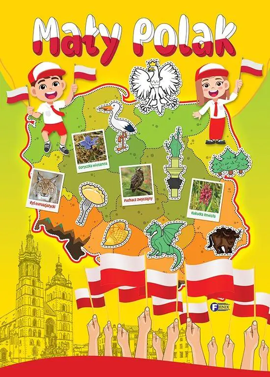 Książka - Mały Polak