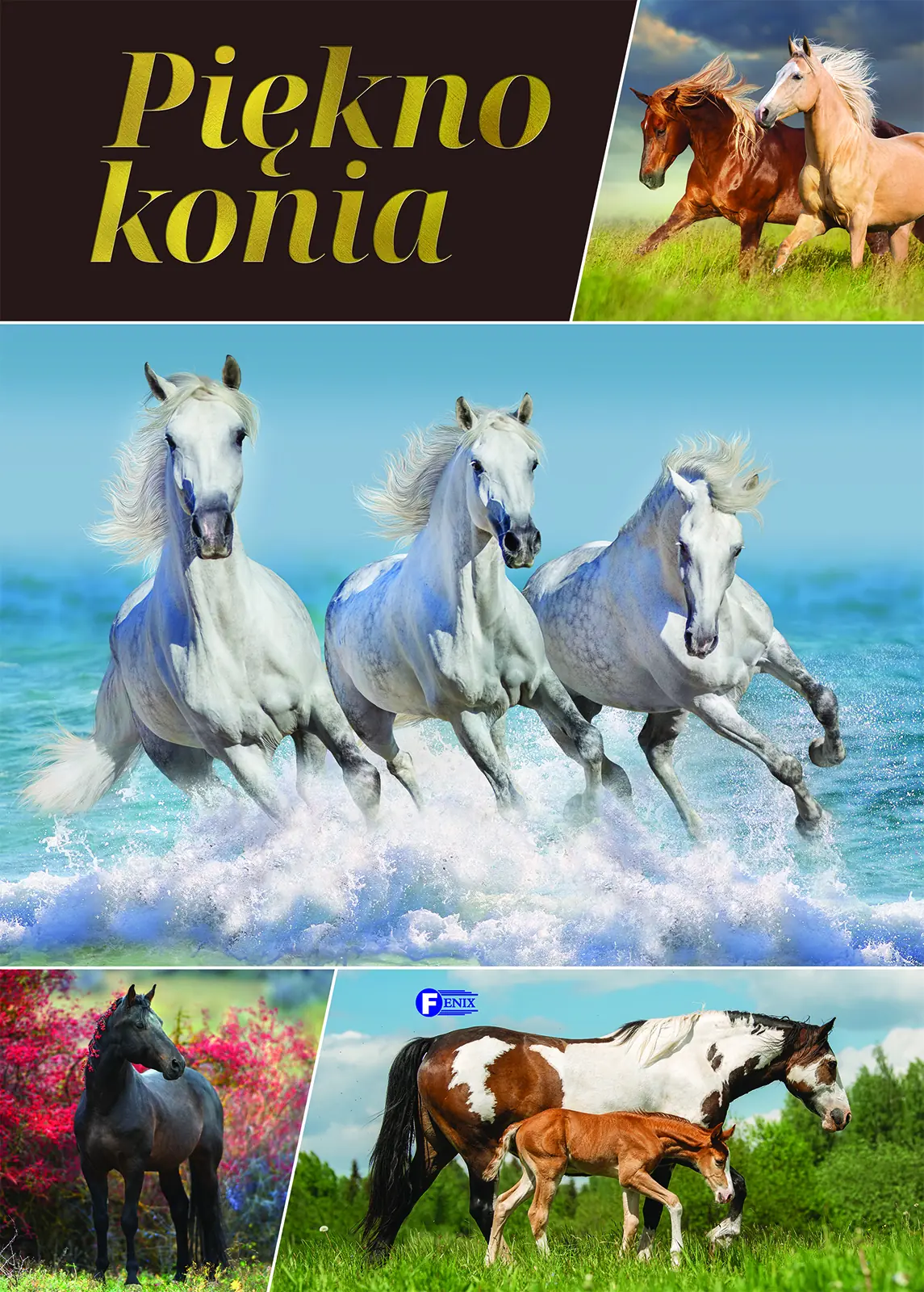 Książka - Piękno konia