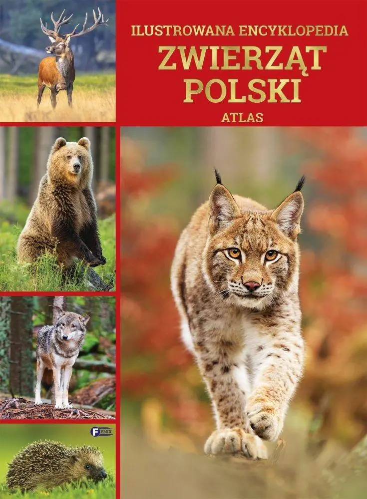 Książka - Ilustrowana encyklopedia zwierząt Polski. Atlas