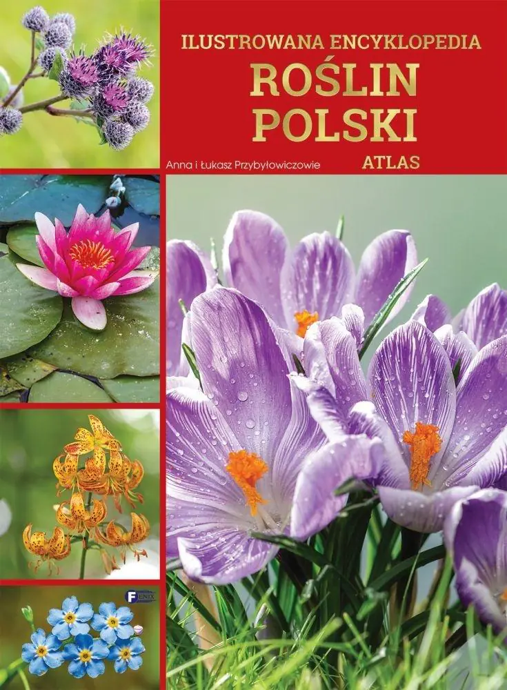 Książka - Ilustrowana ecyklopedia roślin