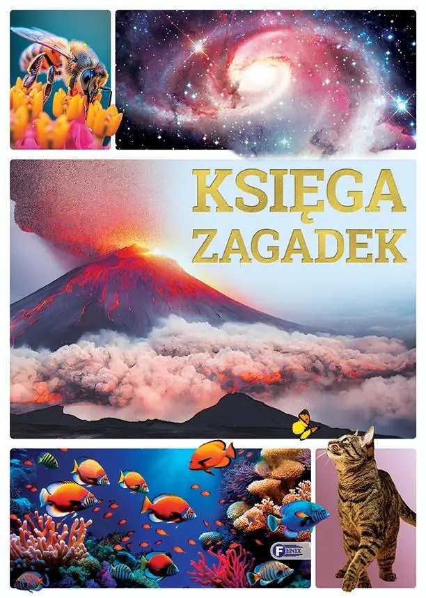 Książka - Księga zagadek