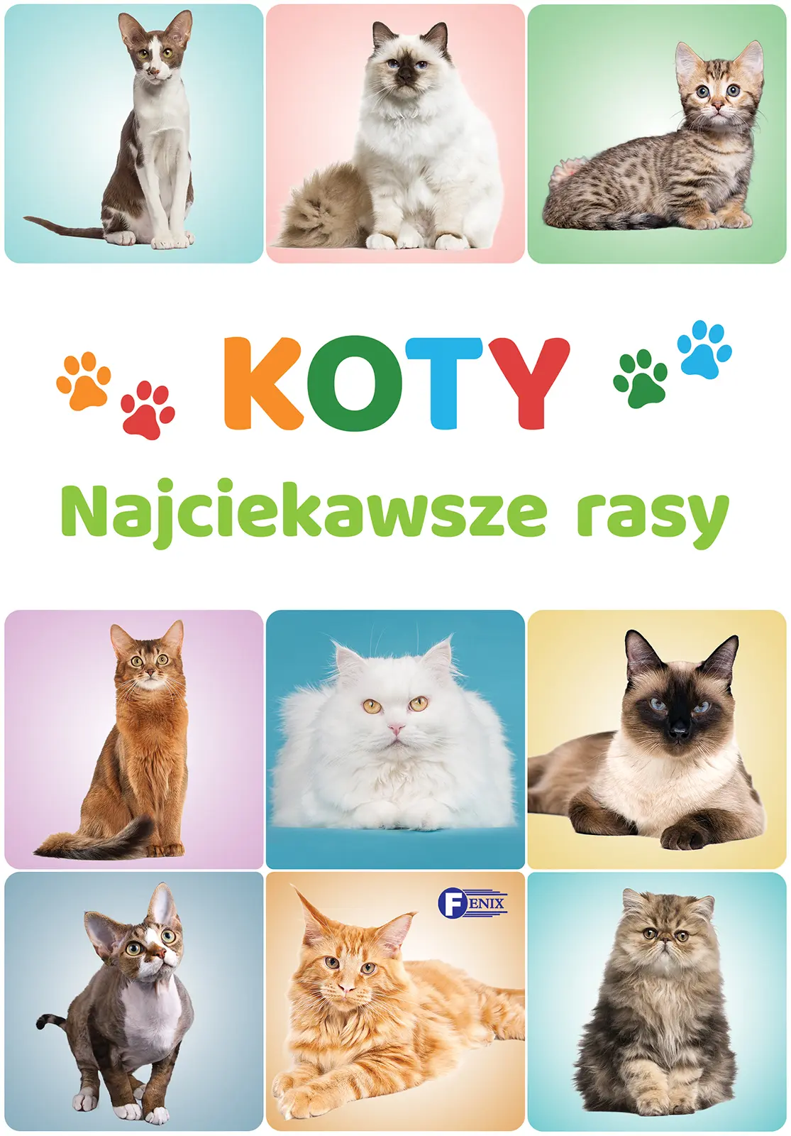 Książka - Koty. Najciekawsze rasy