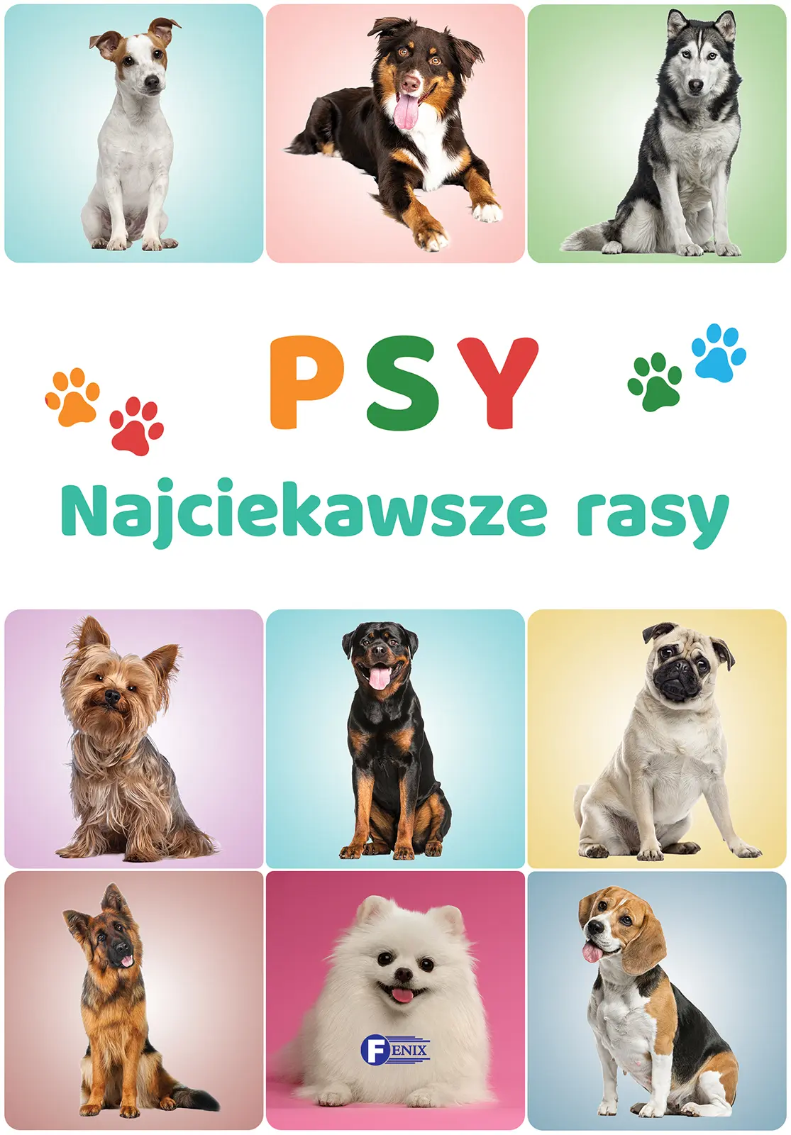 Książka - Psy. Najciekawsze rasy