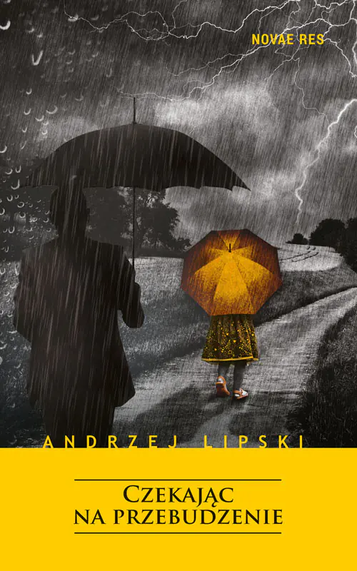 Książka - Czekając na przebudzenie