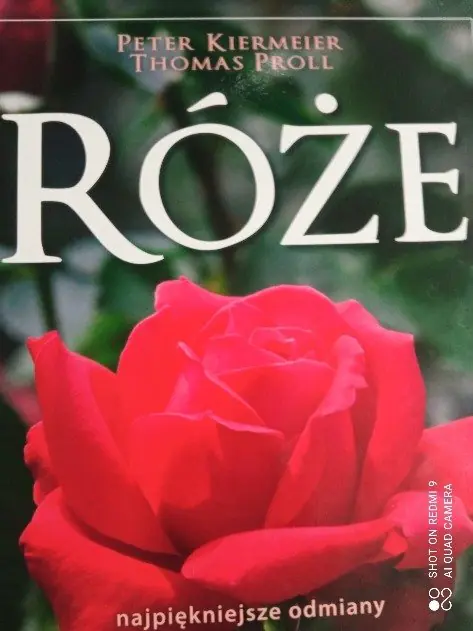 Książka - Róże