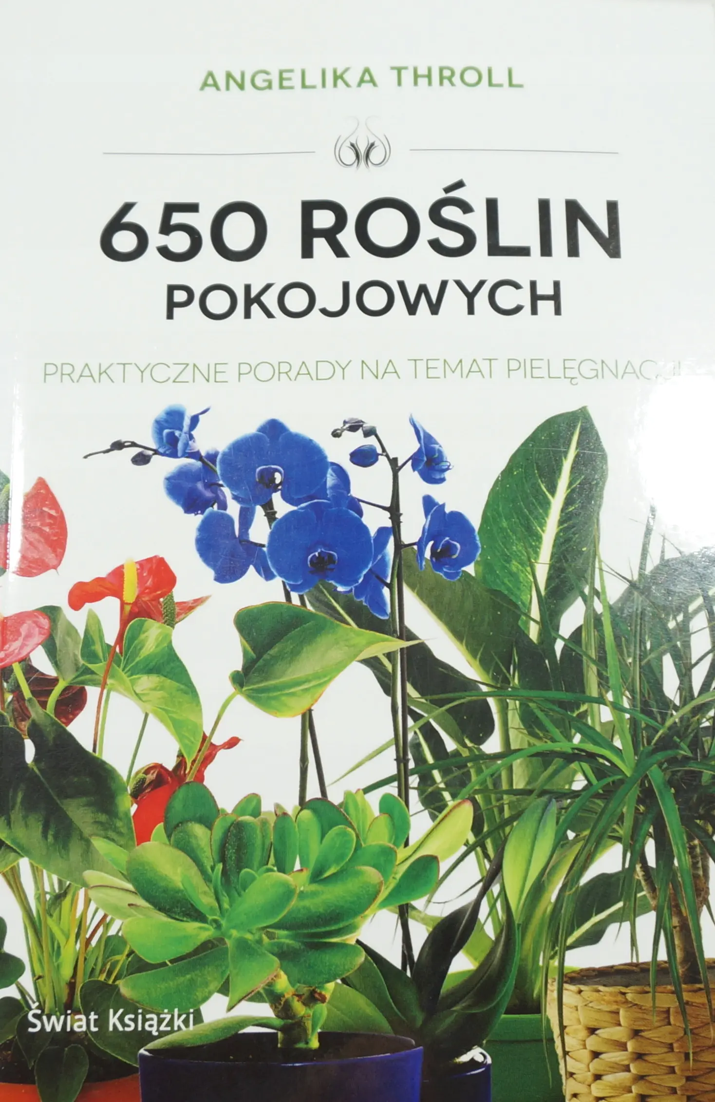 650 roślin pokojowych