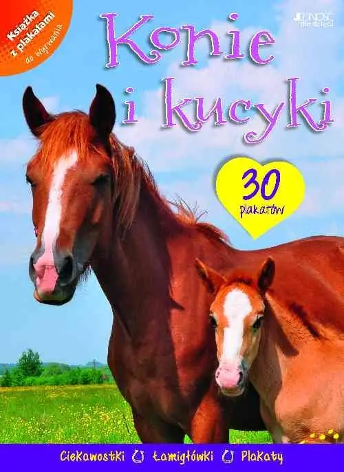 Książka - Konie i kucyki