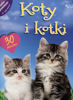 Książka - Koty i kotki. Książka z plakatami