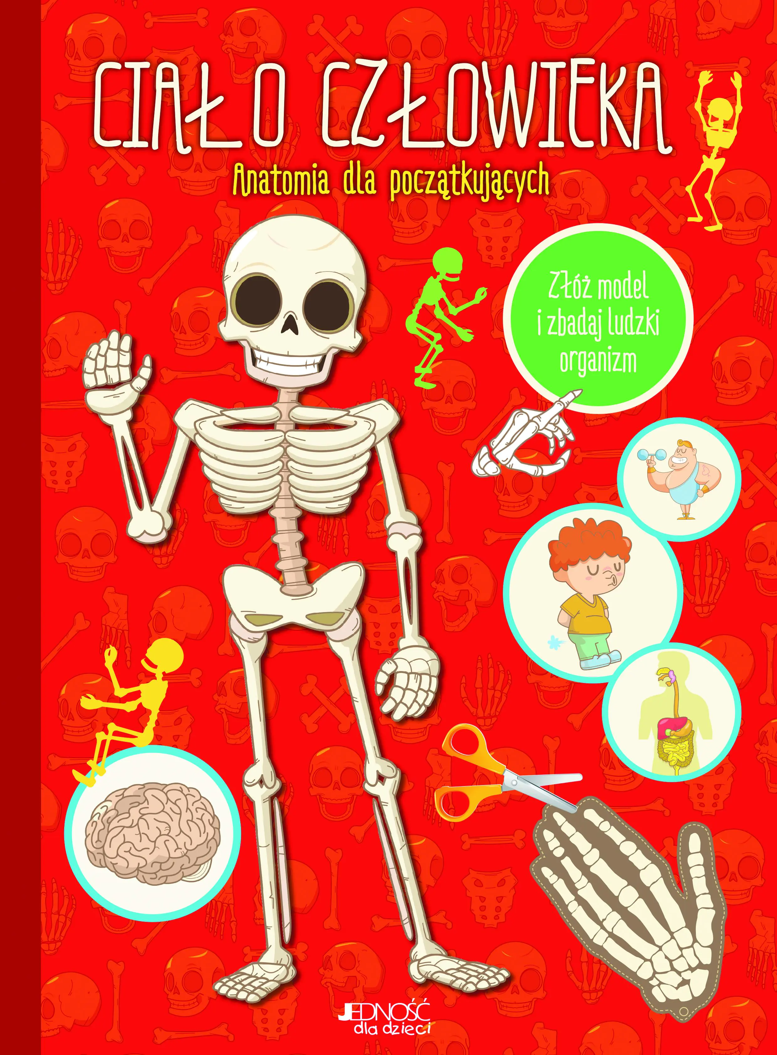 Książka - Ciało człowieka. Anatomia dla początkujących