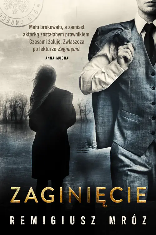 Zaginięcie. Joanna Chyłka. Tom 2