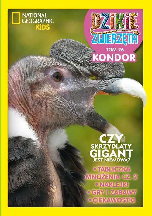 Książka - Dzikie Zwierzęta. 26 Kondor