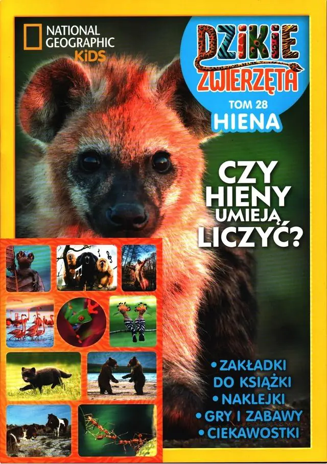 Książka - Dzikie Zwierzęta T.28 Hiena