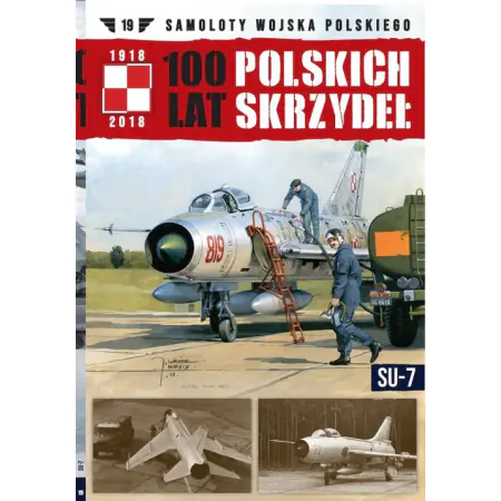 Książka - 100 lat polskich skrzydeł t.19