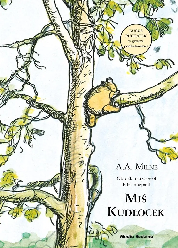 Książka - Miś Kudłocek